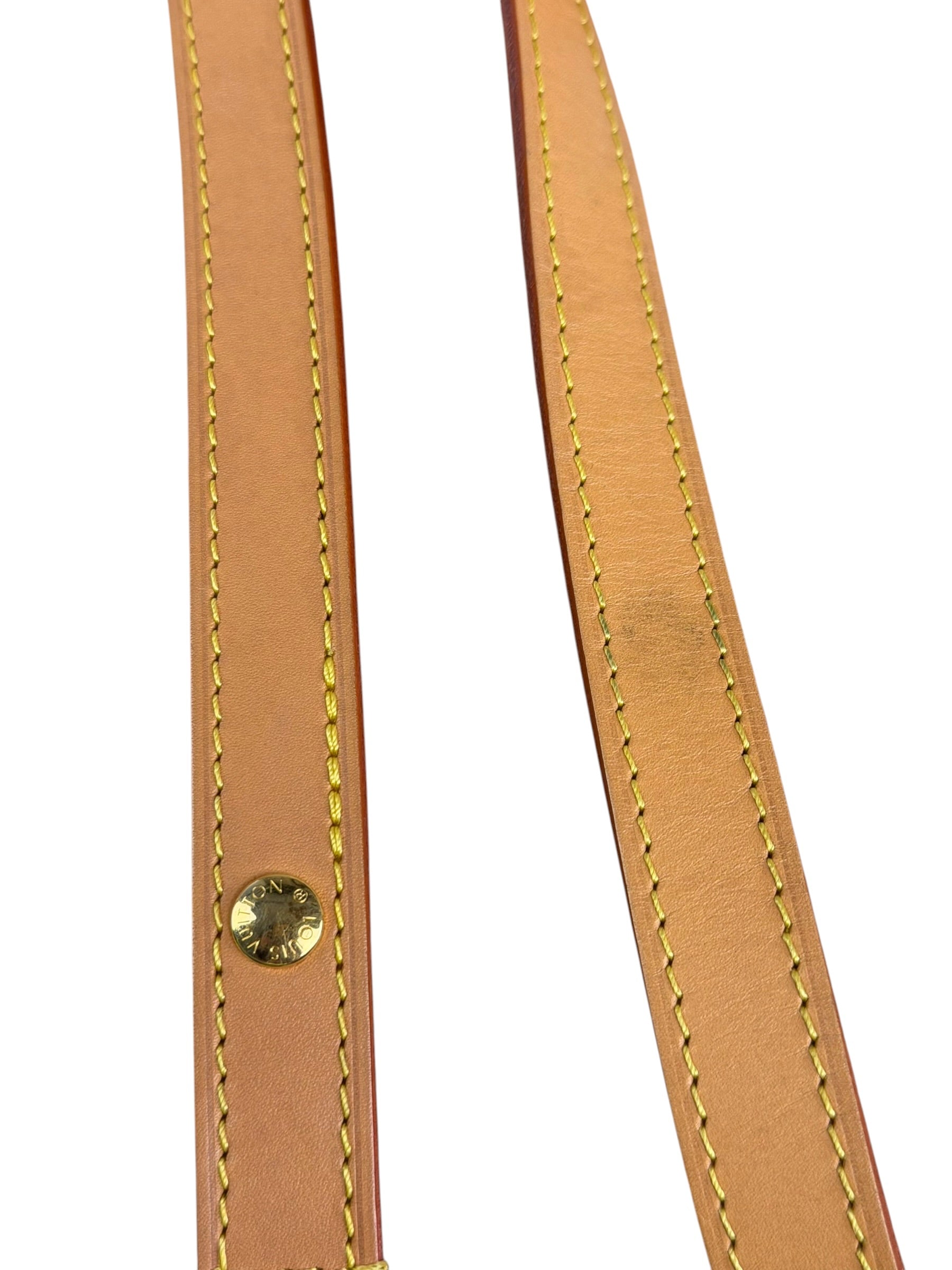 Louis Vuitton Monogram Loop Pochette