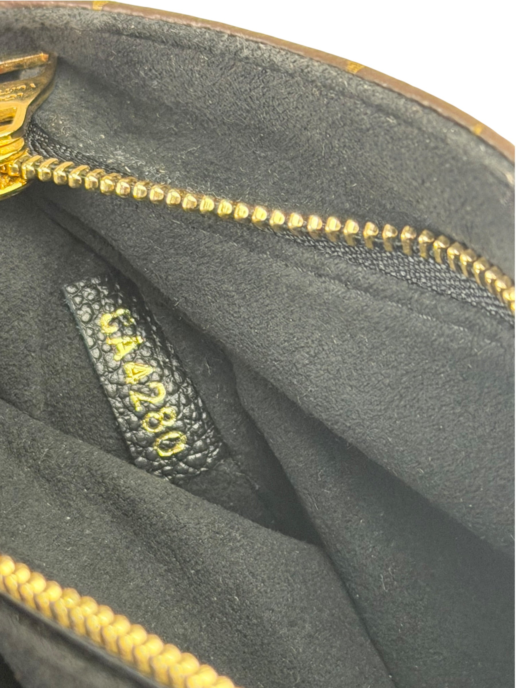 Louis Vuitton Colorblock Monogram Saint Placide Shoulder Bag