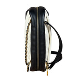 Chanel Bicolor Chevron V-Quilted Leather Camera Case 2014