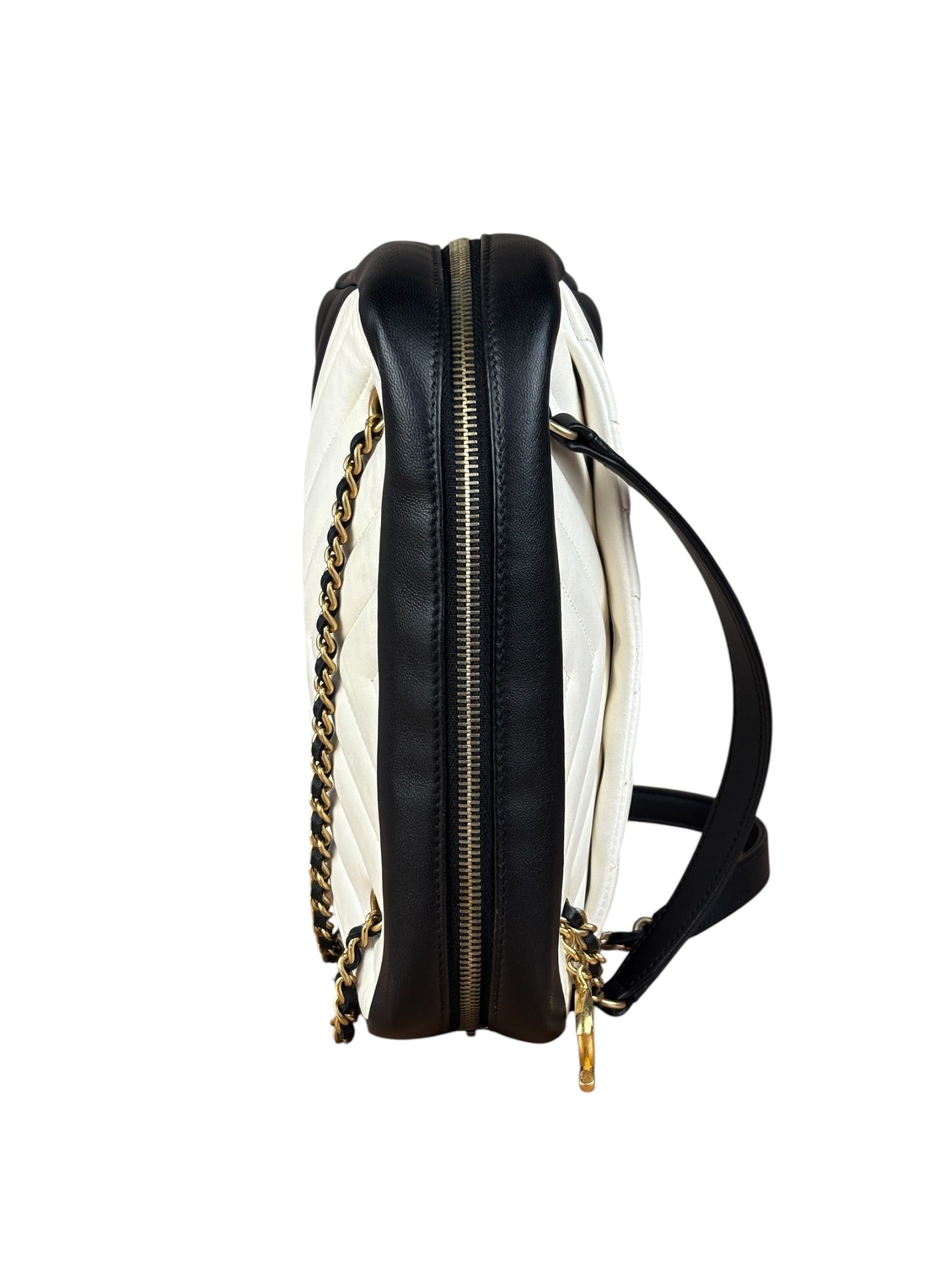 Chanel Bicolor Chevron V-Quilted Leather Camera Case 2014