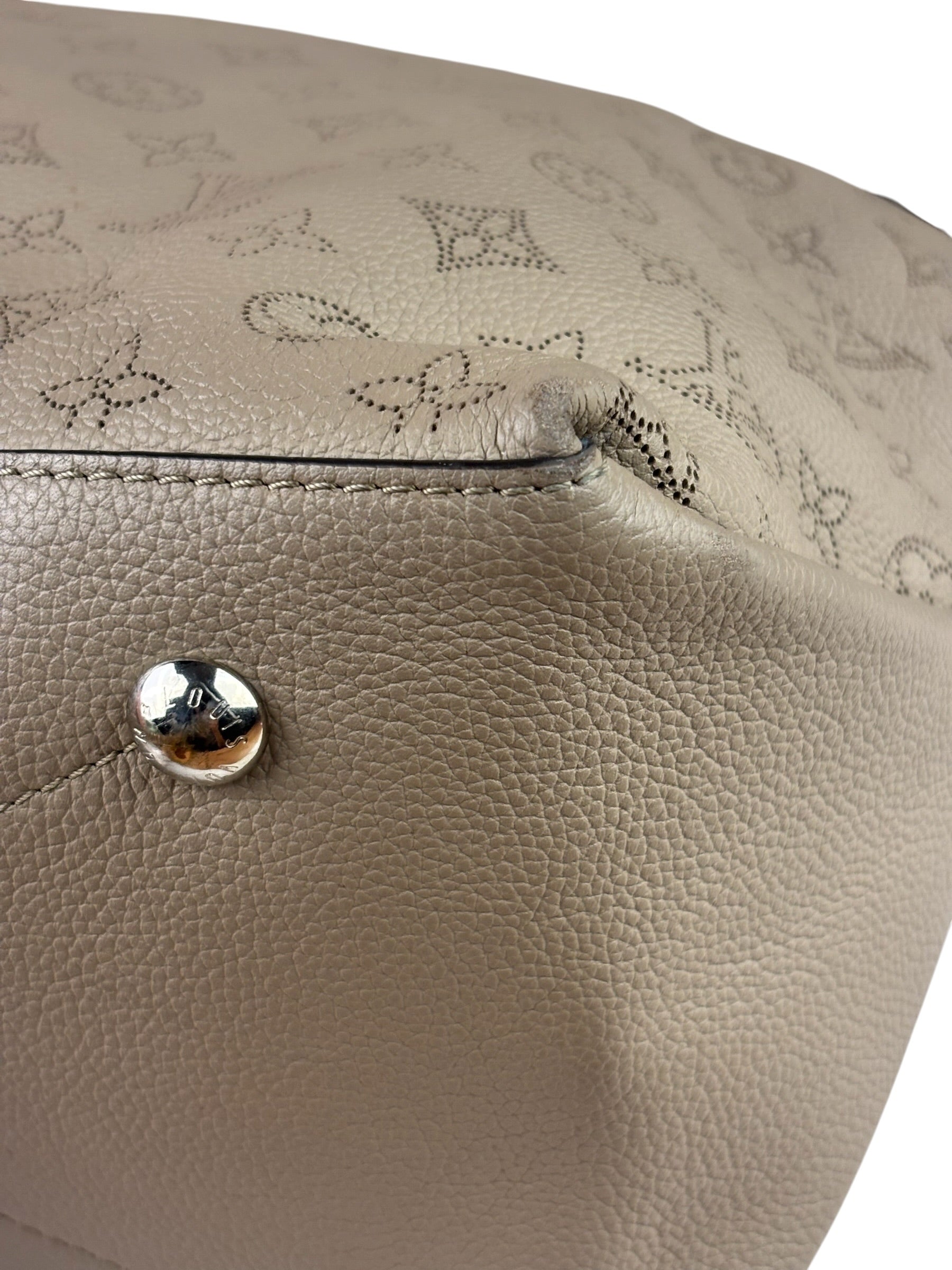 Louis Vuitton Monogram Mahina Hobo MM