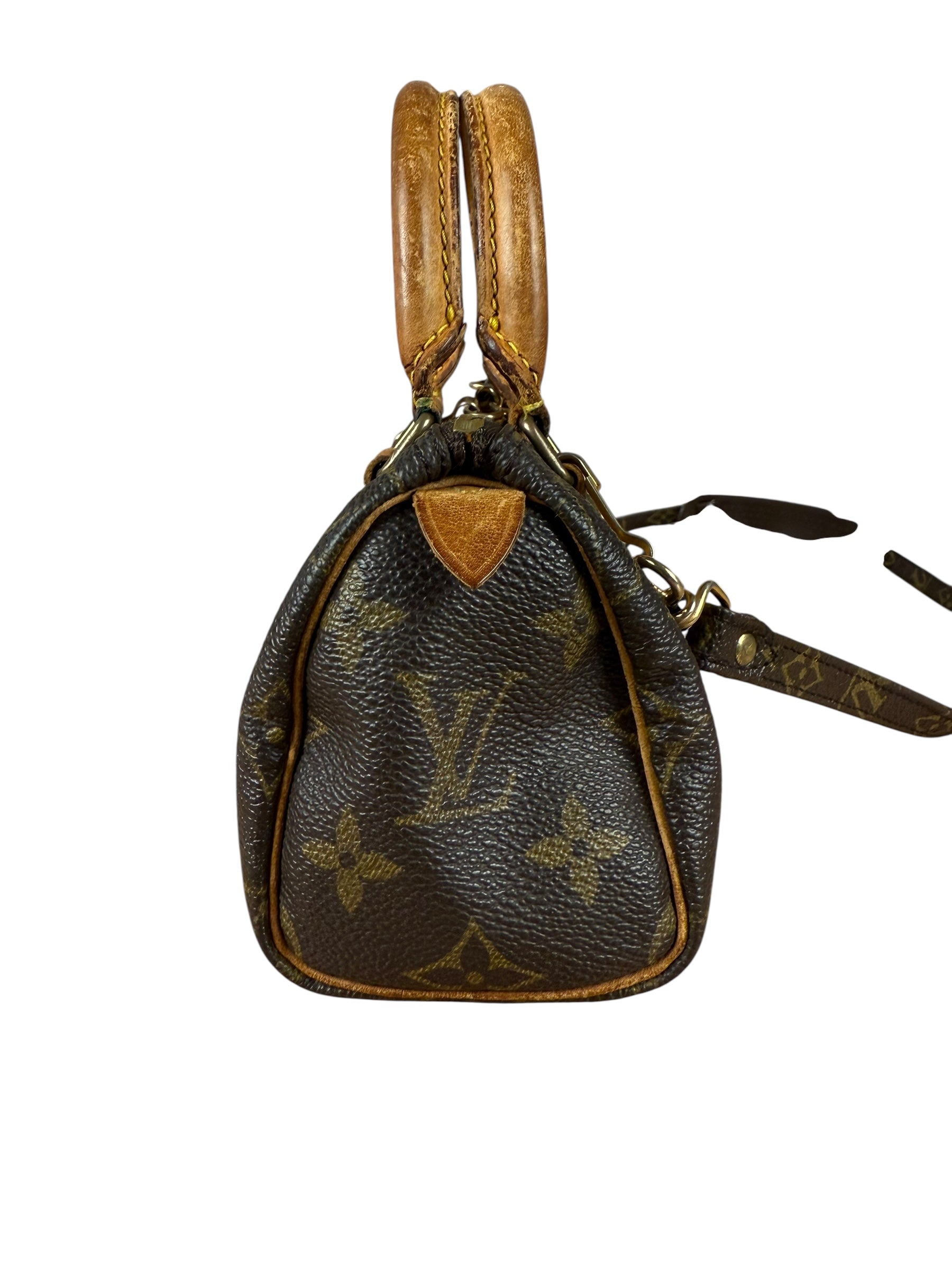 Louis Vuitton Monogram Nano Speedy Bag
