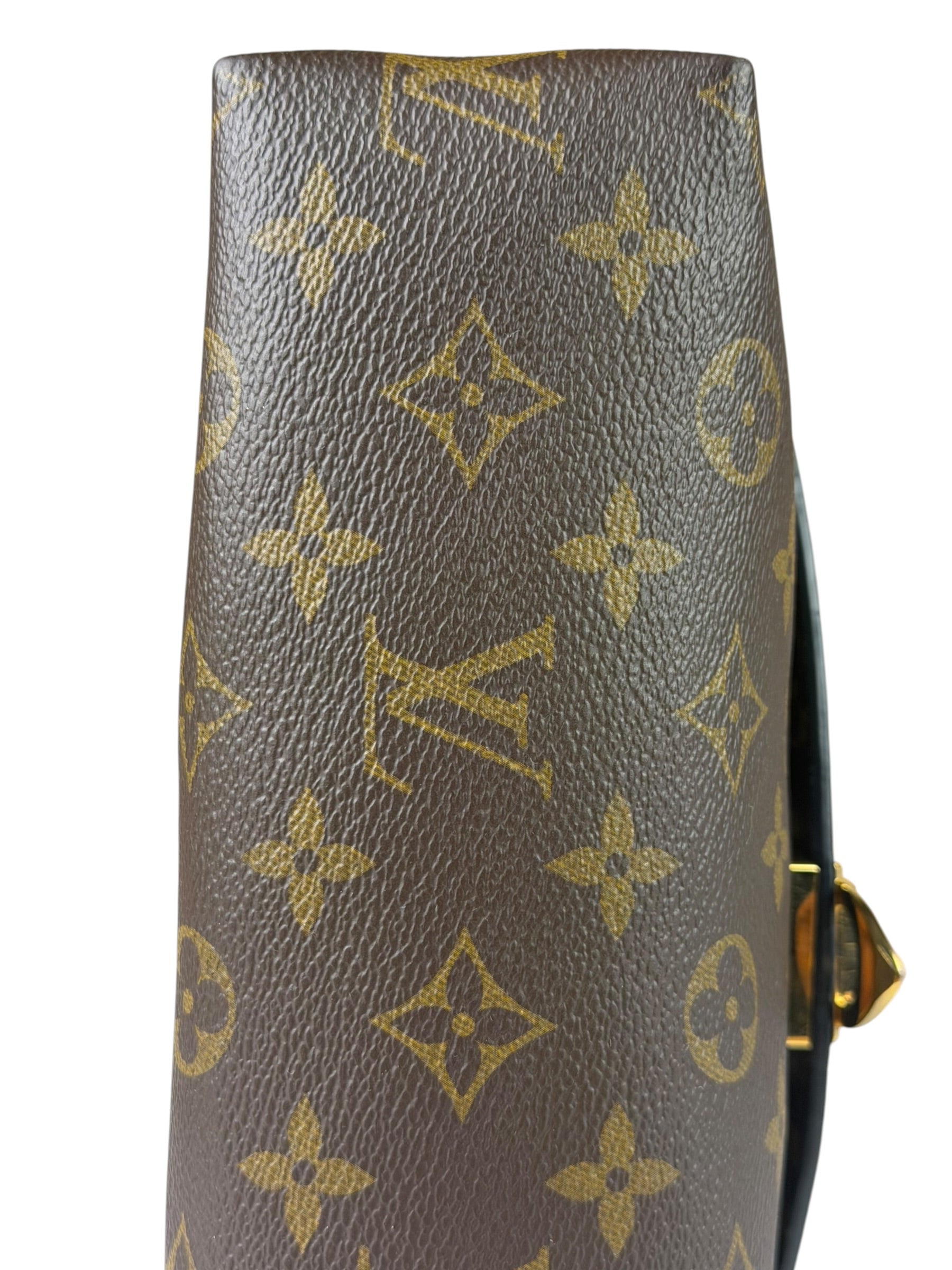 Louis Vuitton Colorblock Monogram Saint Placide Shoulder Bag