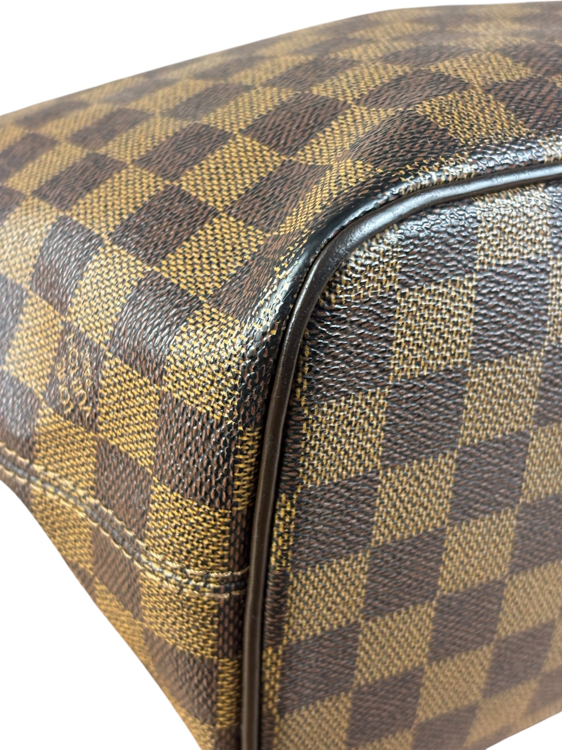 Louis Vuitton Damier Ebene Saleya Tote Bag