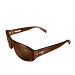 Stussy Brown Frame Sunglasses