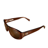 Stussy Brown Frame Sunglasses