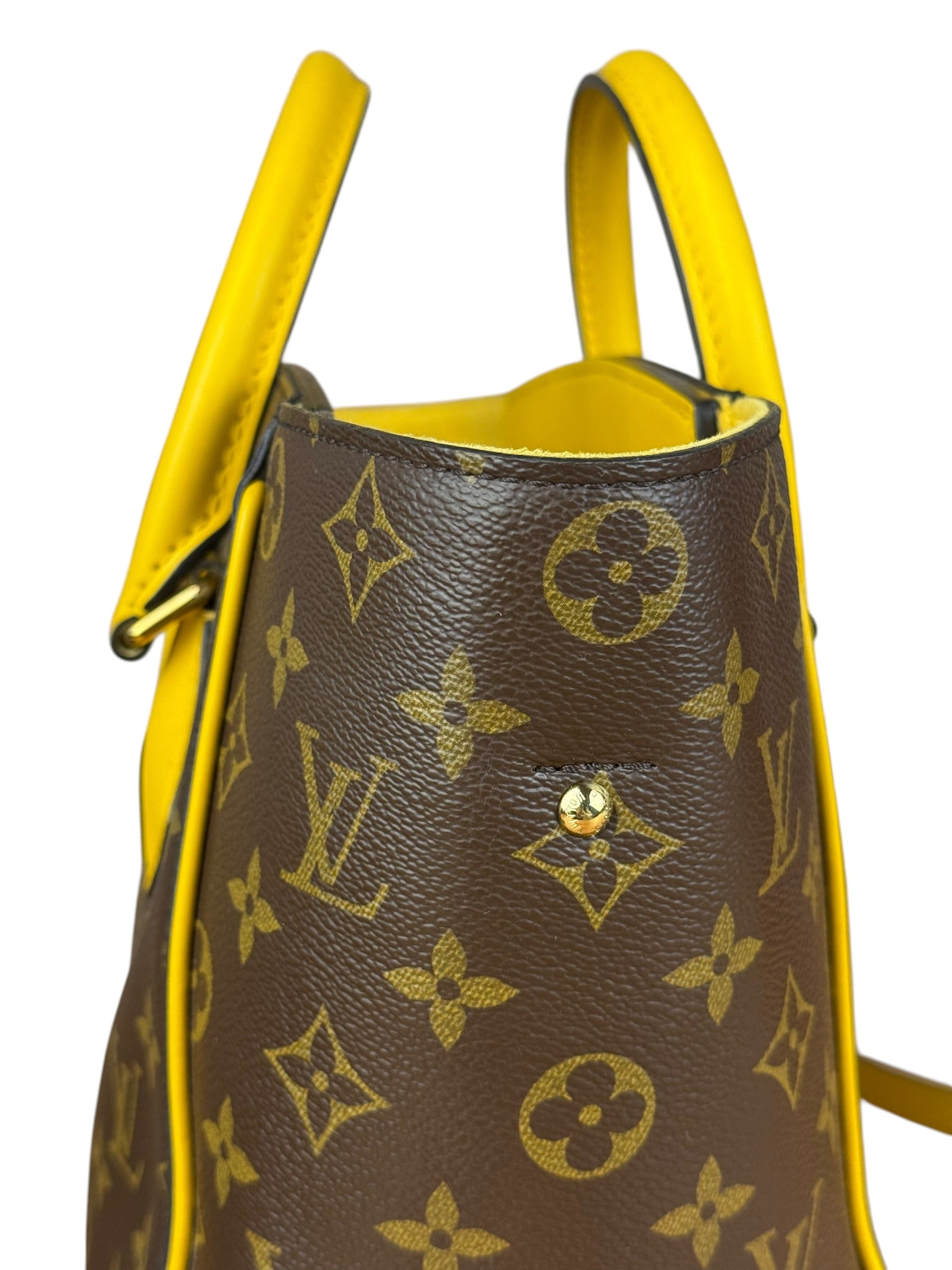 Louis Vuitton Monogram Yellow Phenix PM 2Way Bag