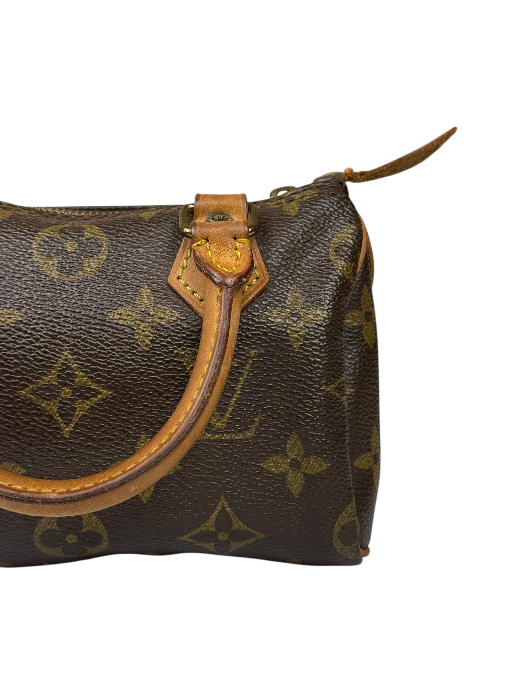 Louis Vuitton Monogram Nano Speedy Bag