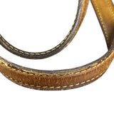 Louis Vuitton Monogram Wilshire Tote Bag
