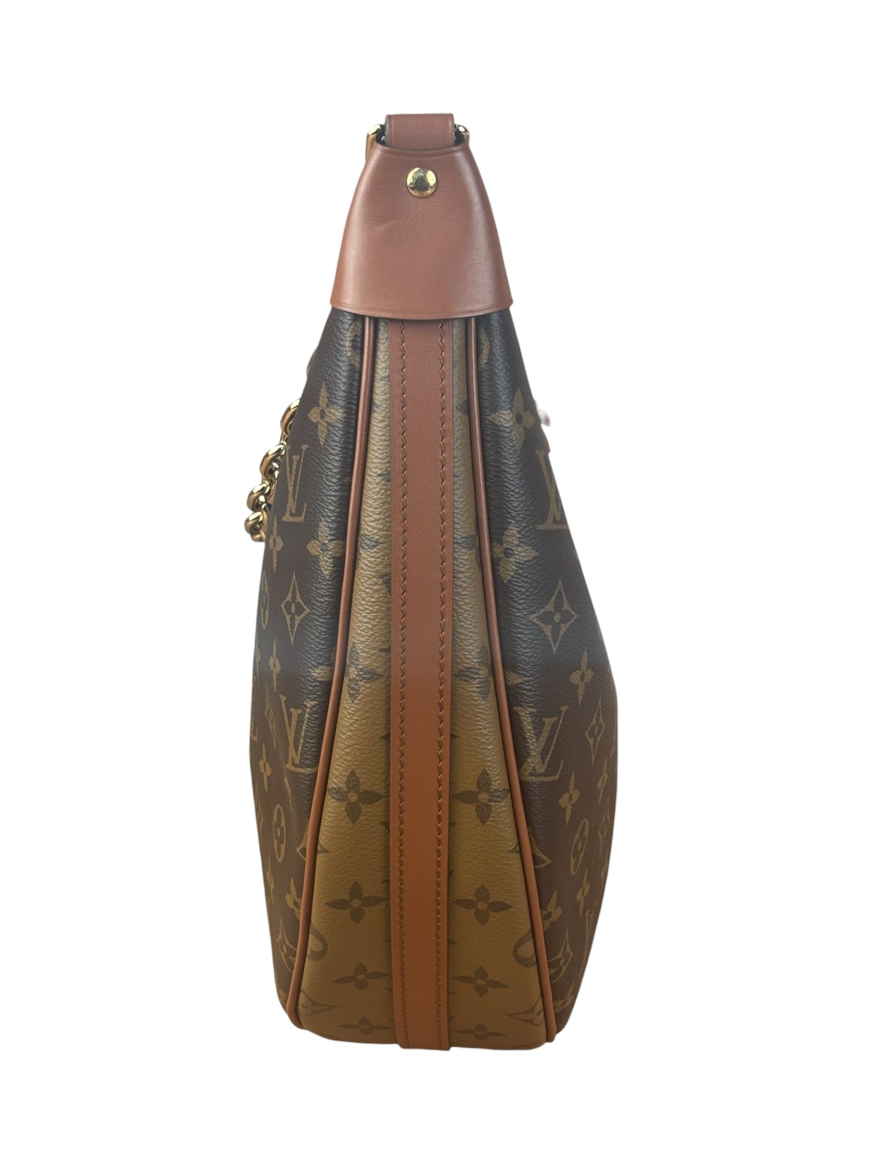 Louis Vuitton Reverse Monogram Loop Hobo