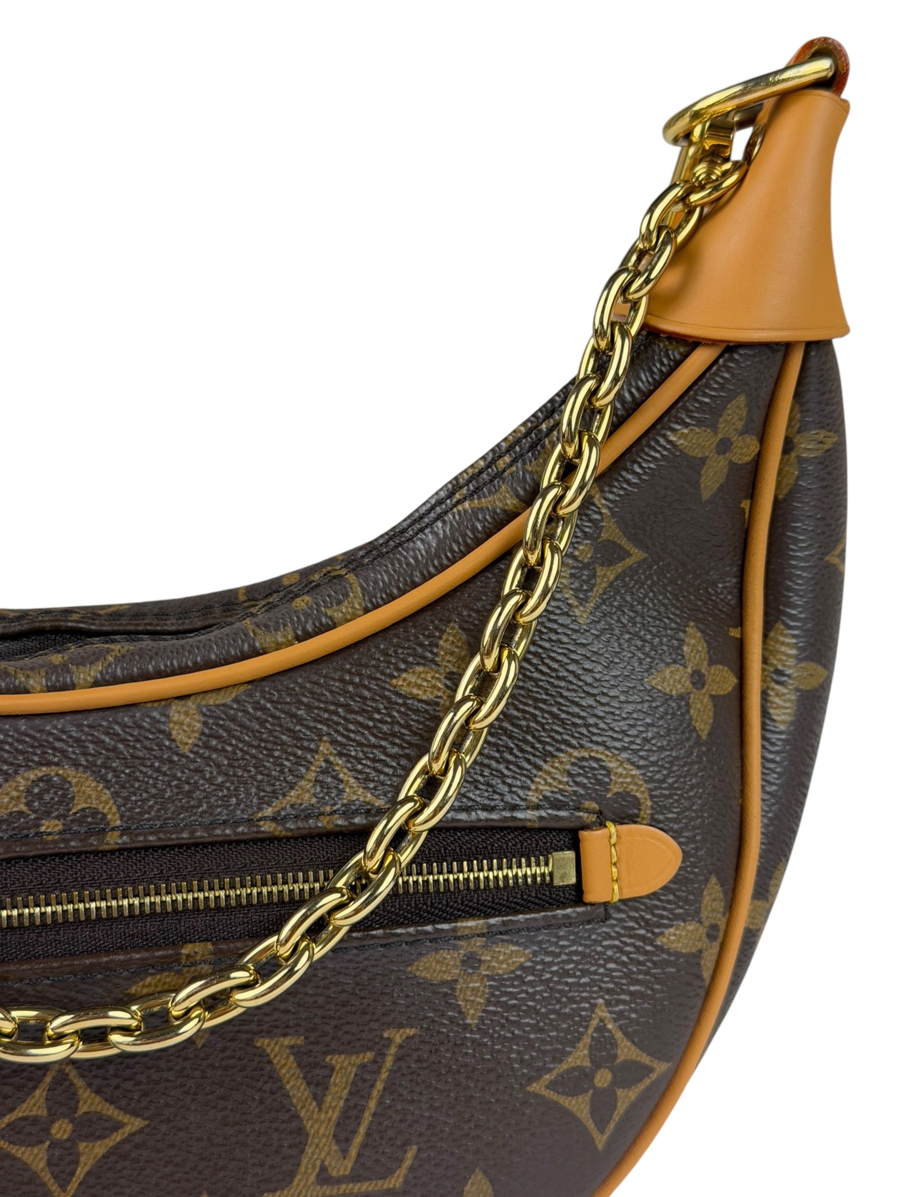 Louis Vuitton Monogram Loop Pochette