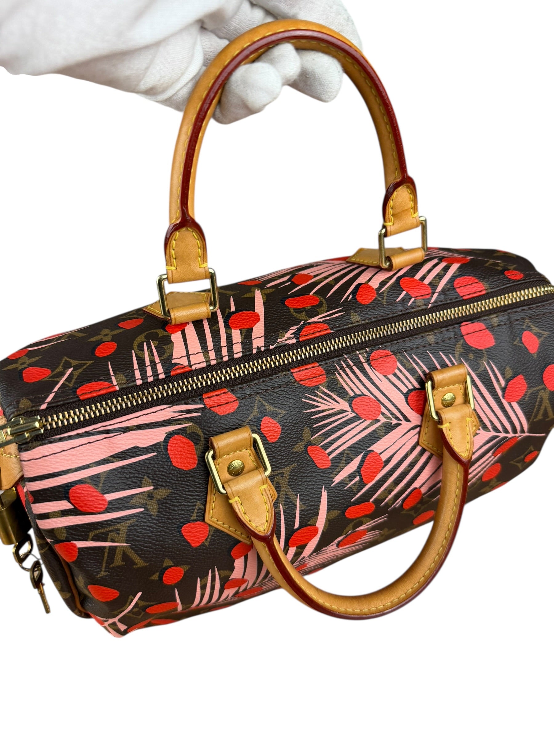 Louis Vuitton Limited Edition Jungle Dots Speedy 30