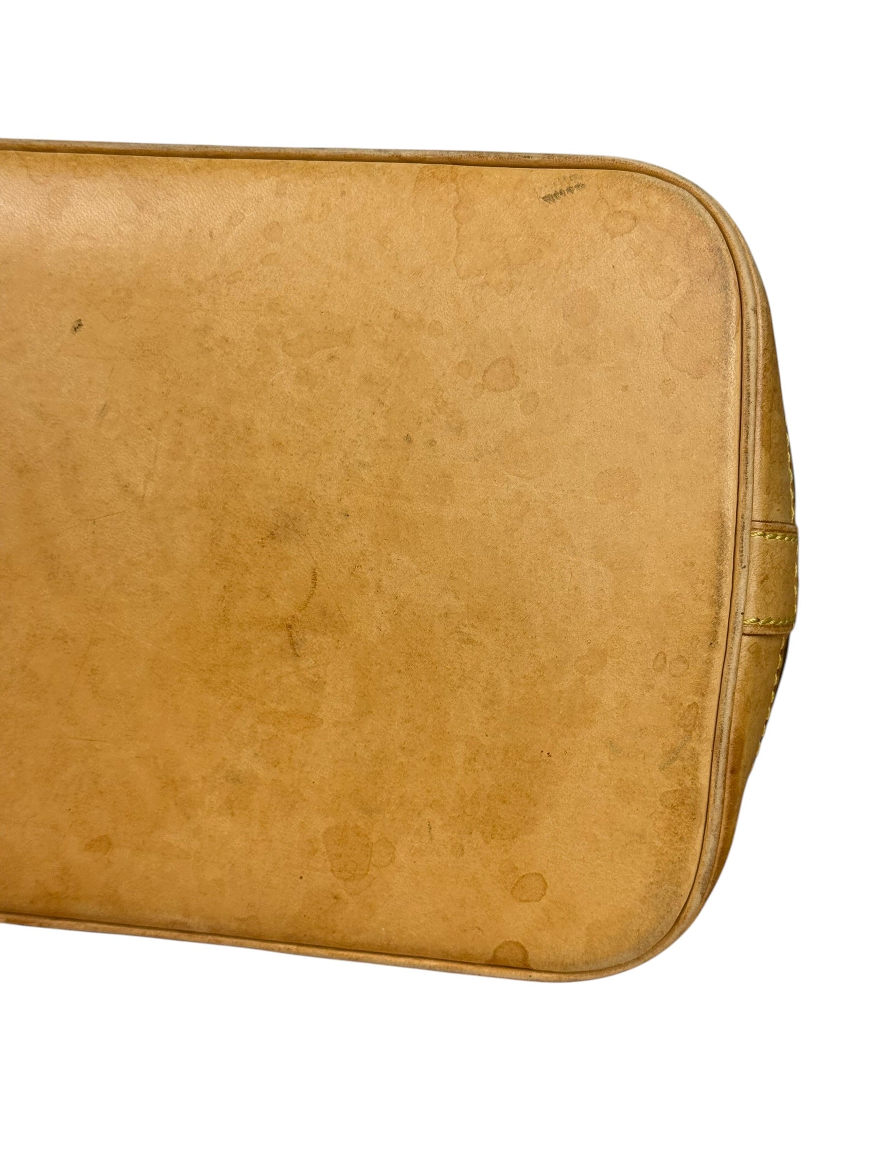 Louis Vuitton Monogram Alma