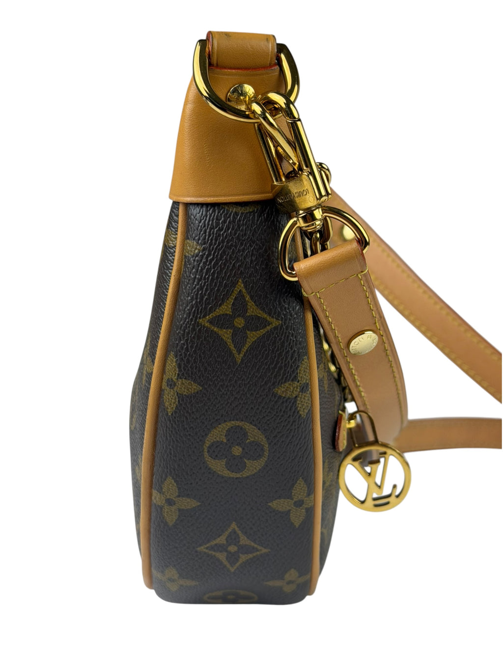 Louis Vuitton Monogram Loop Pochette