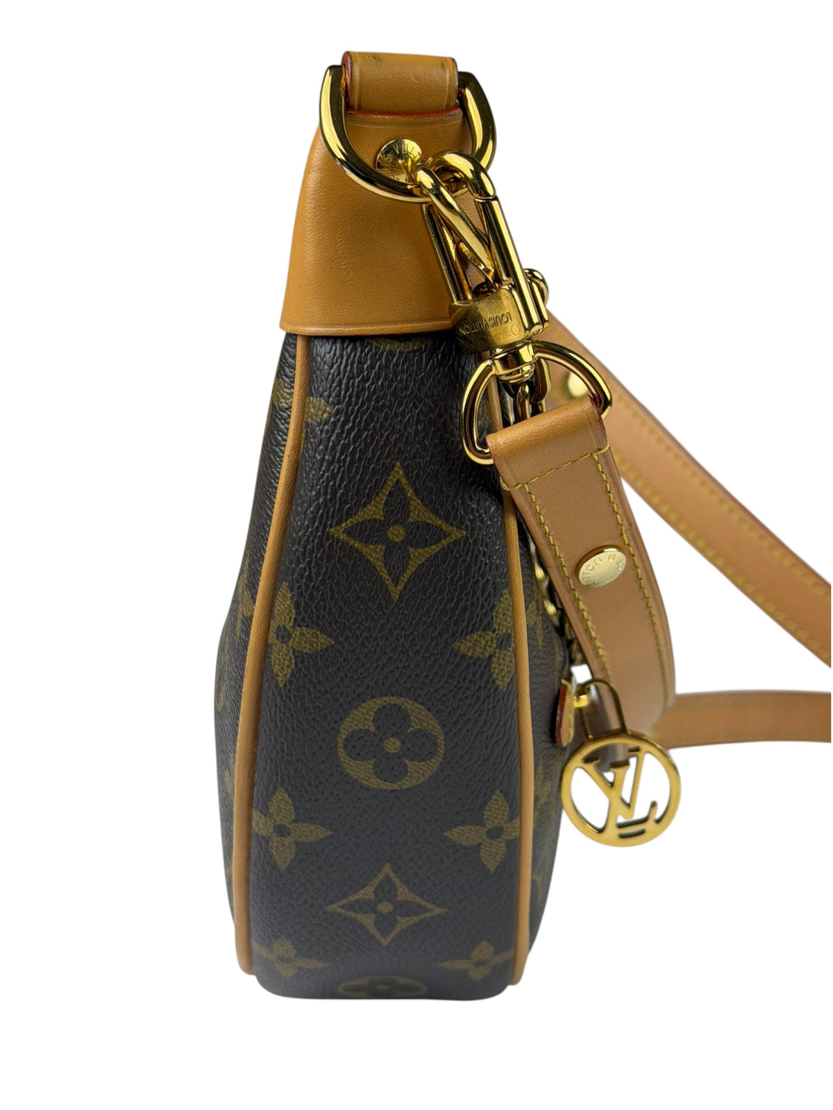 Louis Vuitton Monogram Loop Pochette