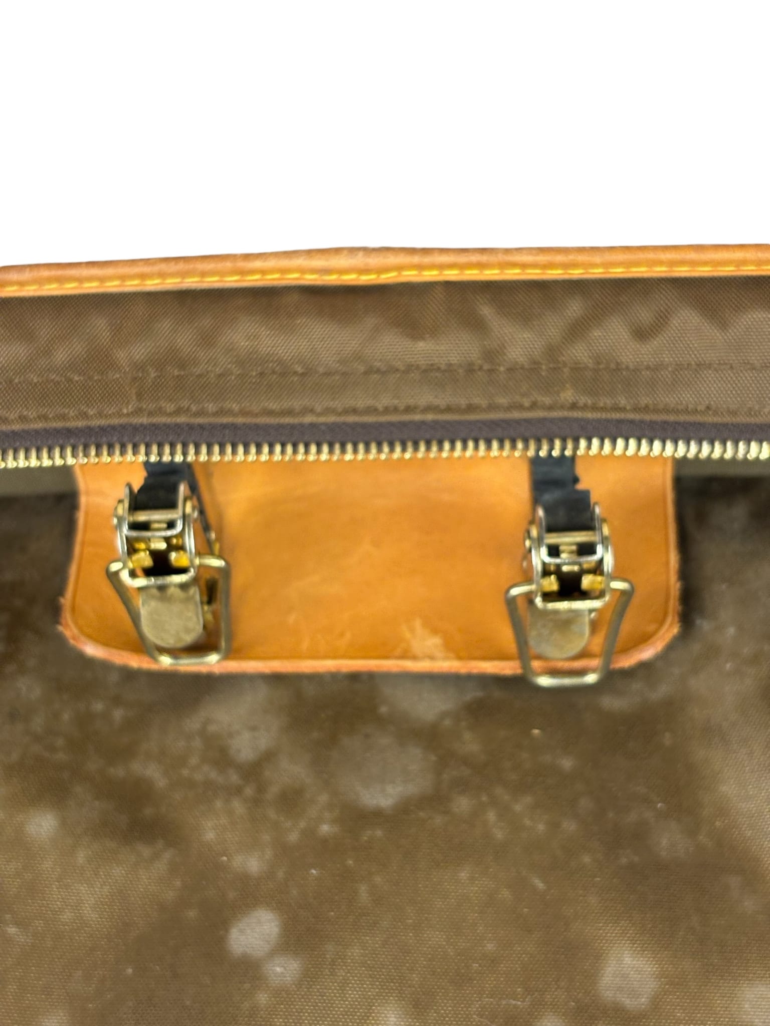 Louis Vuitton Monogram Garment Bag