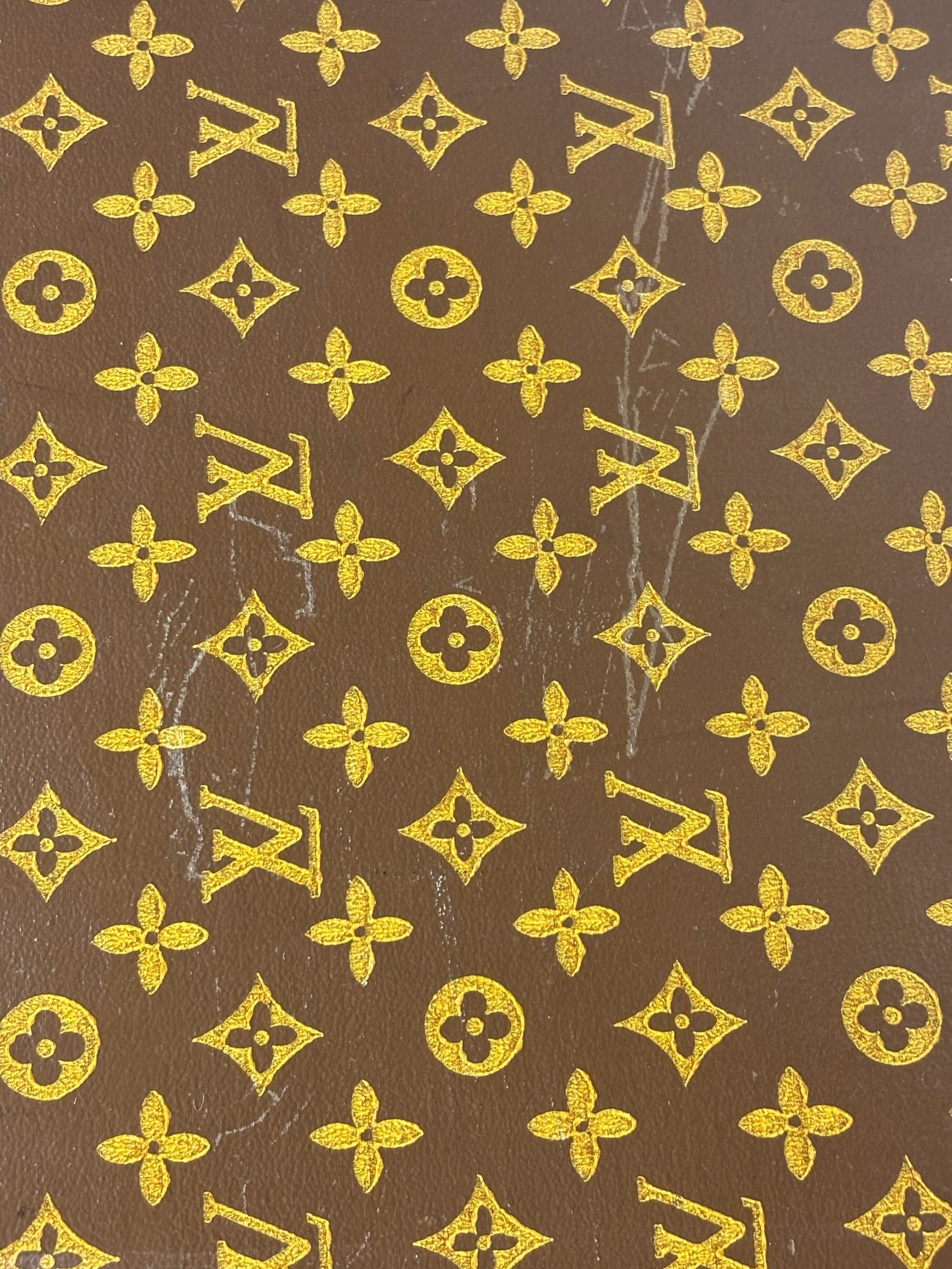 Louis Vuitton Vintage Monogram Hard Case Luggage Trunk
