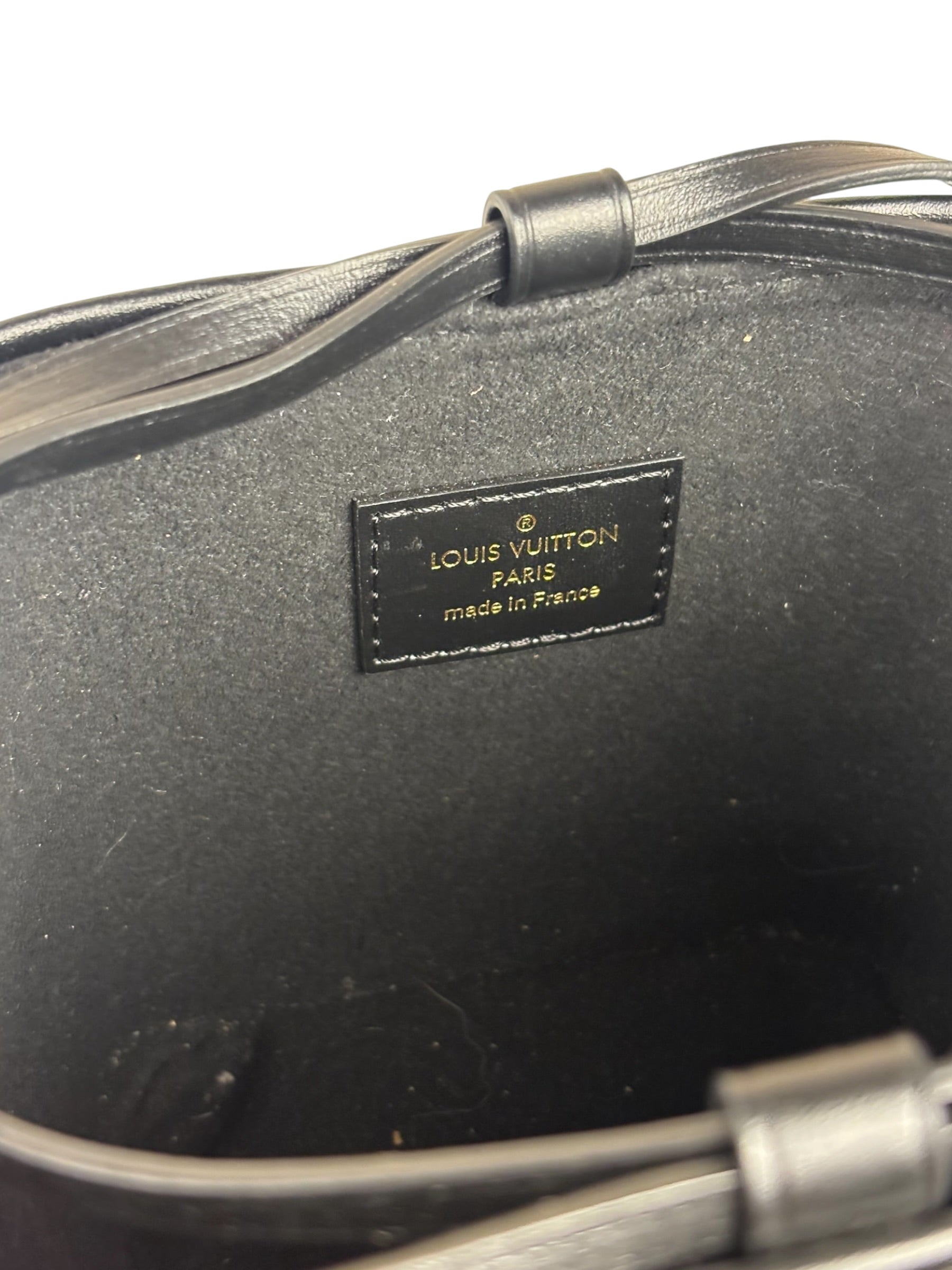 Louis Vuitton Monogram Reverse Noe Mini Bag