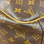 Louis Vuitton Monogram Excursion Top-Handle Bag