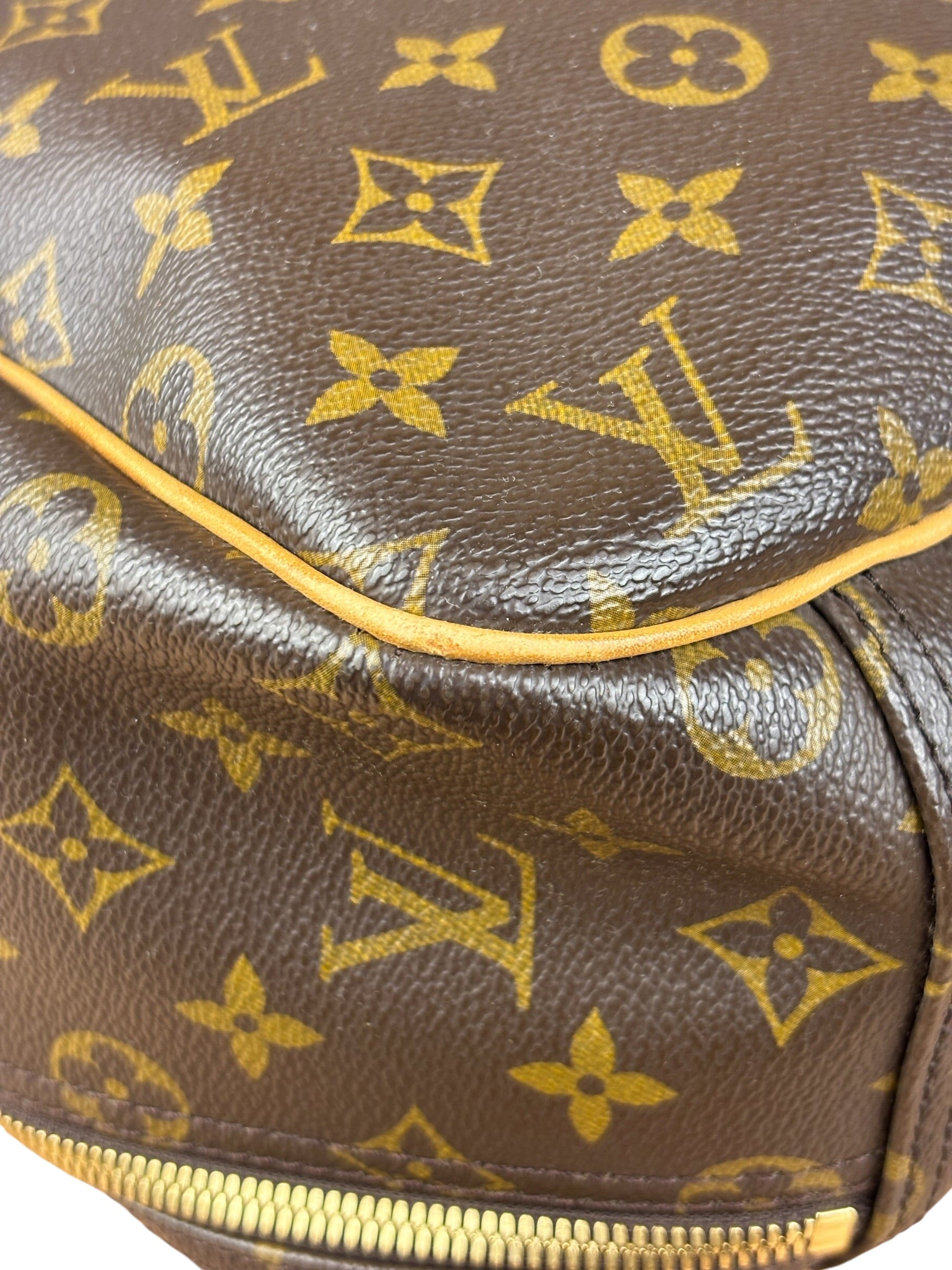 Louis Vuitton Monogram Excursion Top-Handle Bag