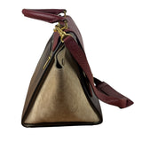 Celine Colorblock Leather/Suede Two-Way Bag