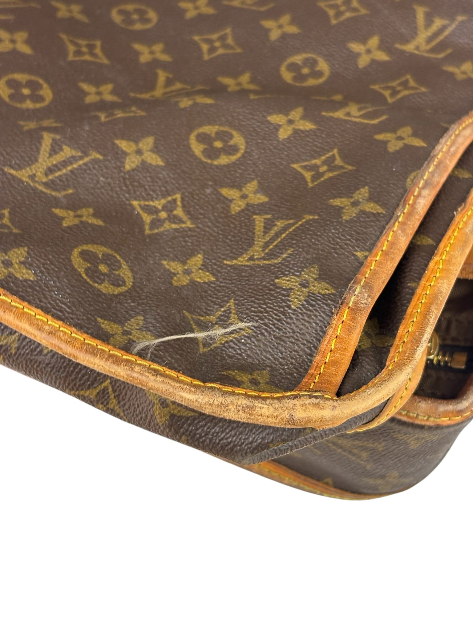 Louis Vuitton Monogram Garment Bag