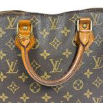 Louis Vuitton Monogram Alma Handbag PM