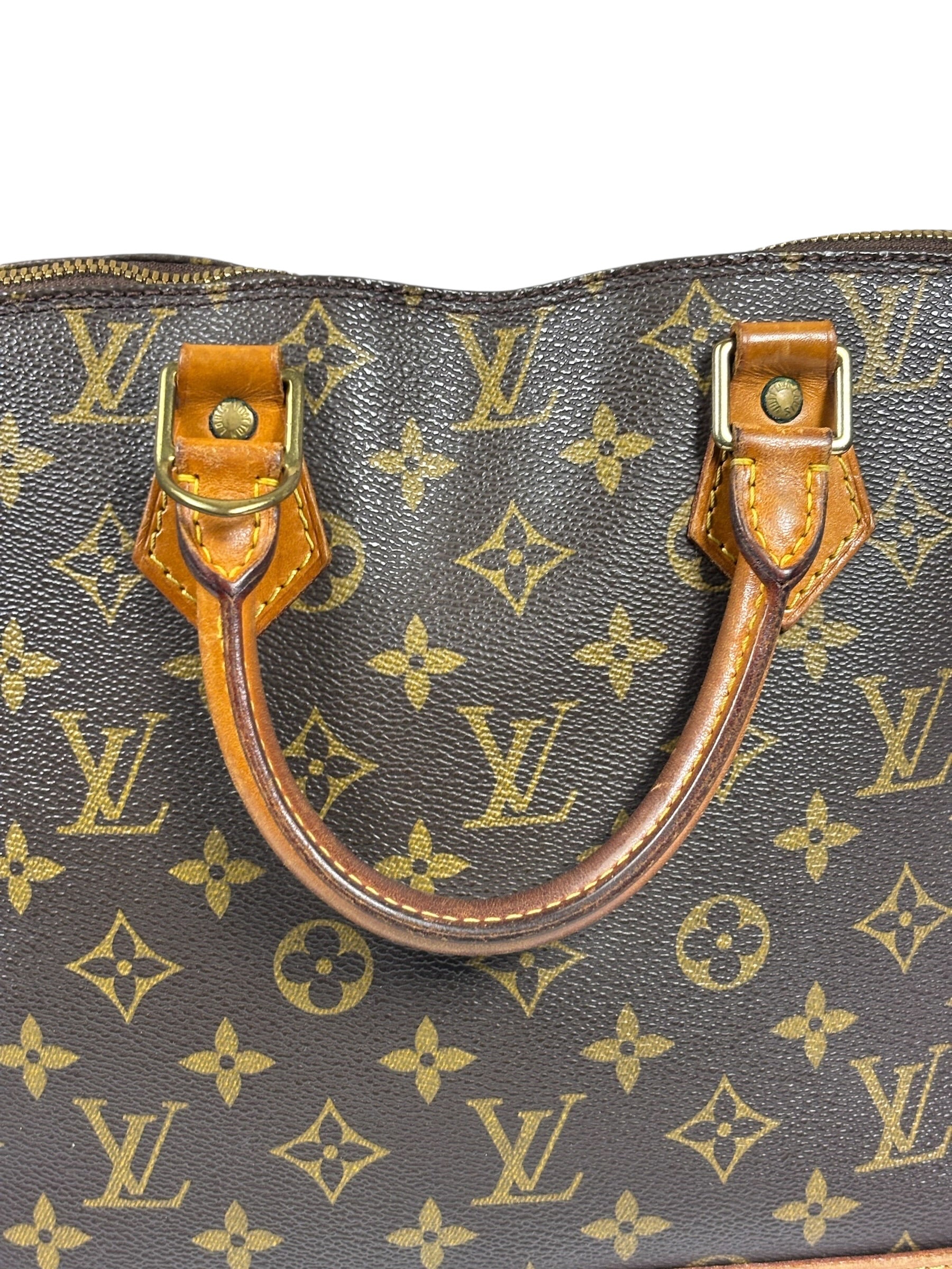 Louis Vuitton Monogram Alma Handbag PM