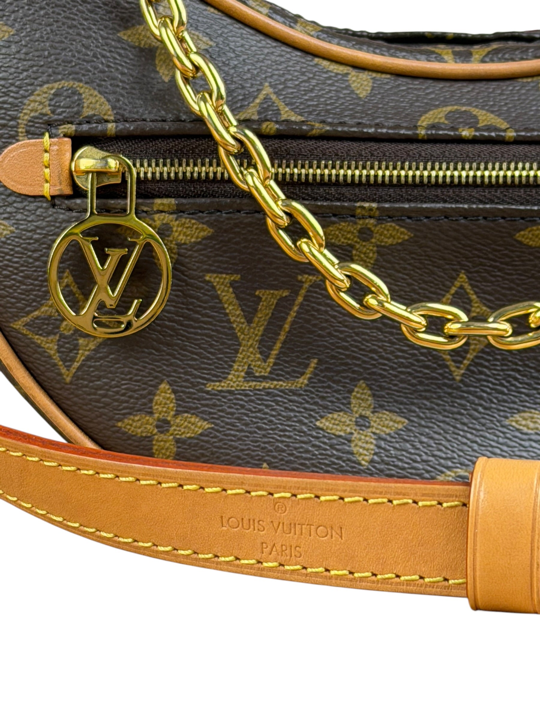 Louis Vuitton Monogram Loop Pochette