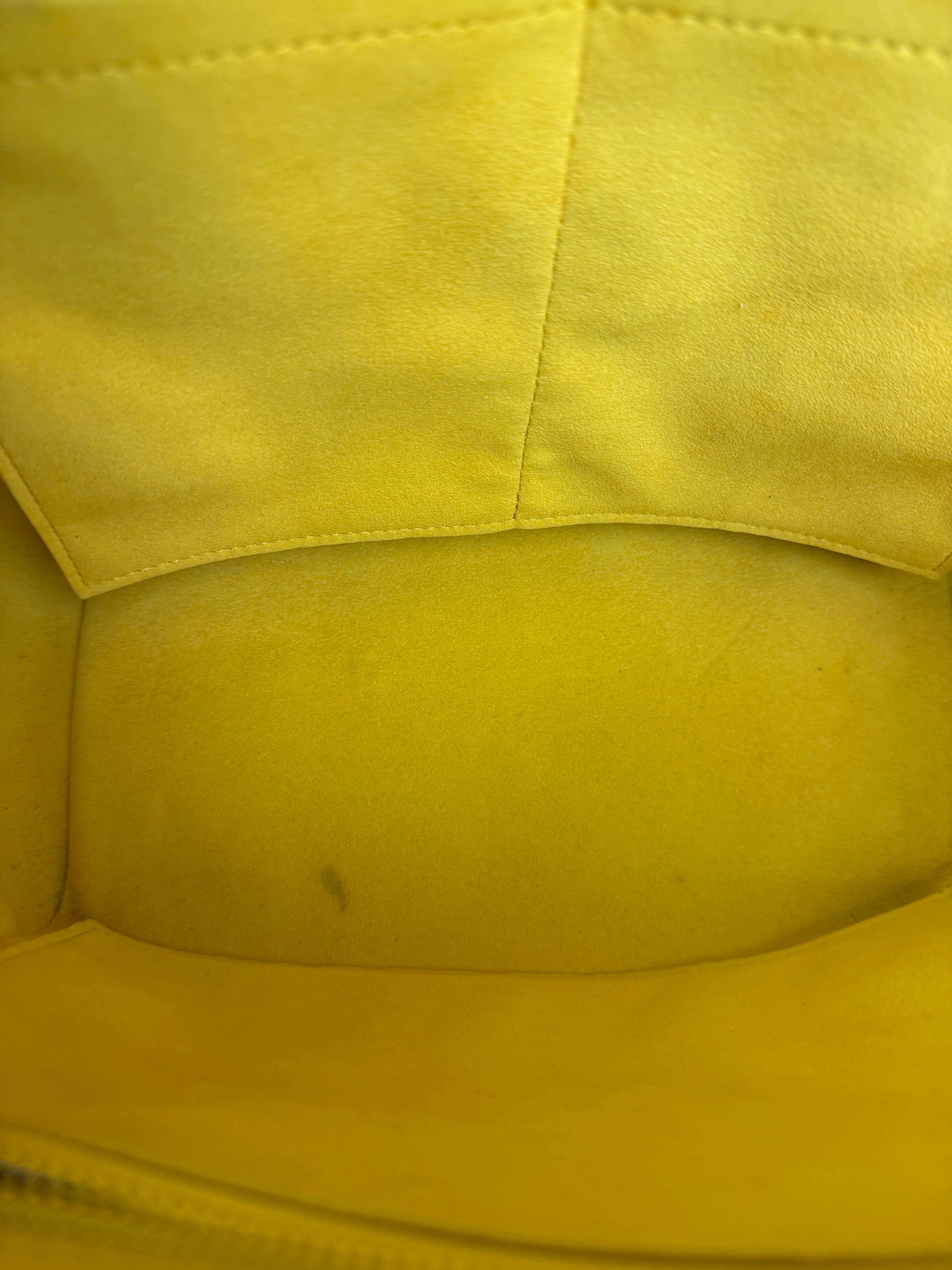 Louis Vuitton Monogram Yellow Phenix PM 2Way Bag