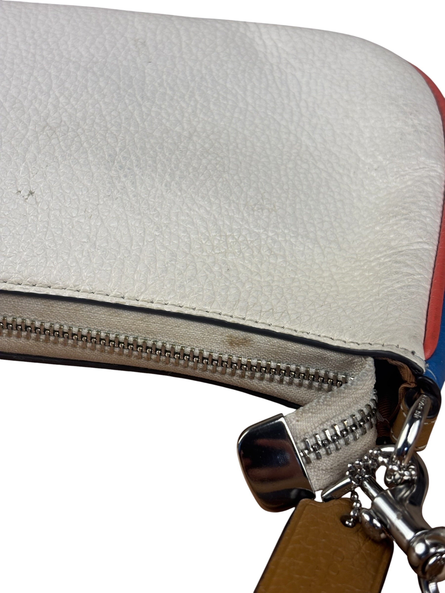Coach Colorblock Leather Teri Pochette/Crossbody Bag