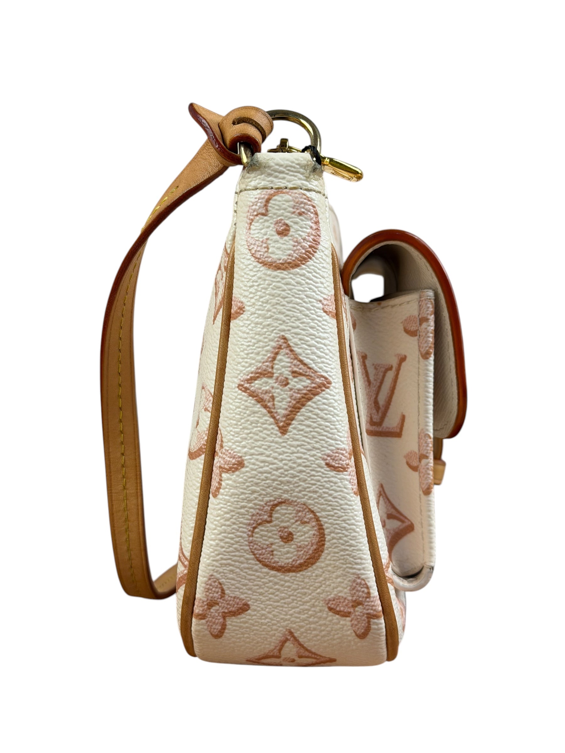 Louis Vuitton Monogram Maxi Multi Pochette