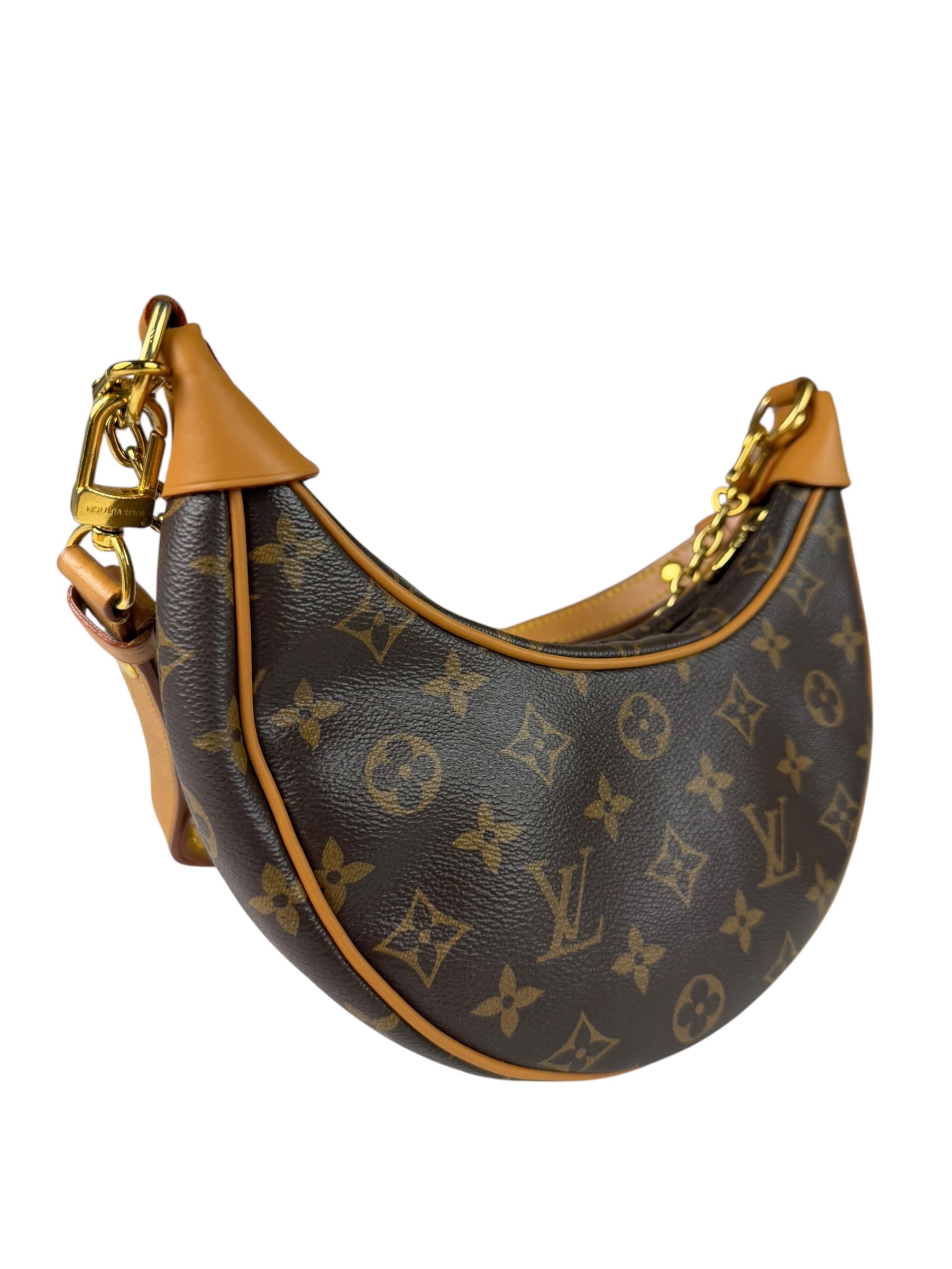 Louis Vuitton Monogram Loop Pochette