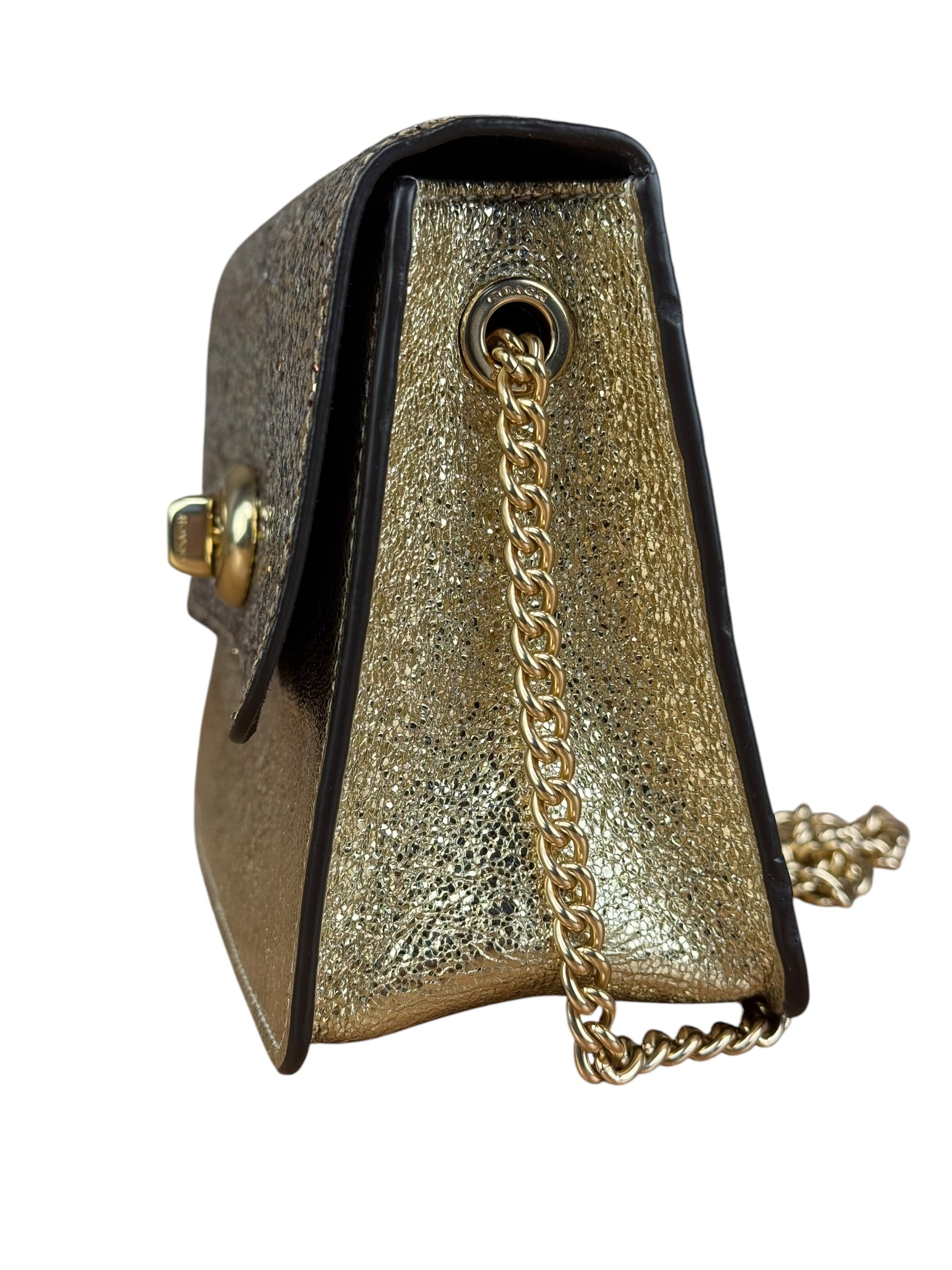 Coach Glitter Bowery Crossbody
