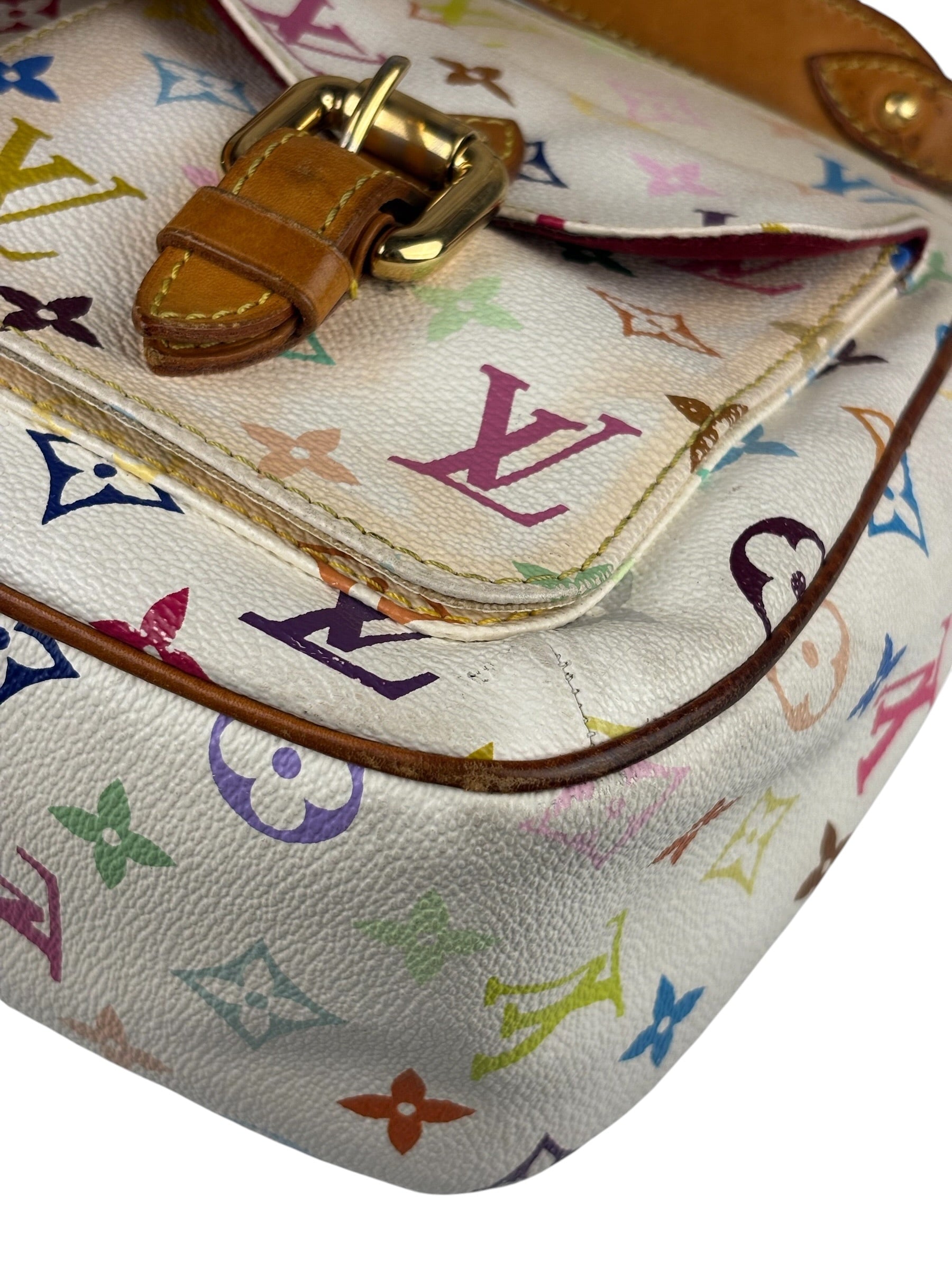 Louis Vuitton Multicolore Canvas Monogram Lodge Shoulder Bag
