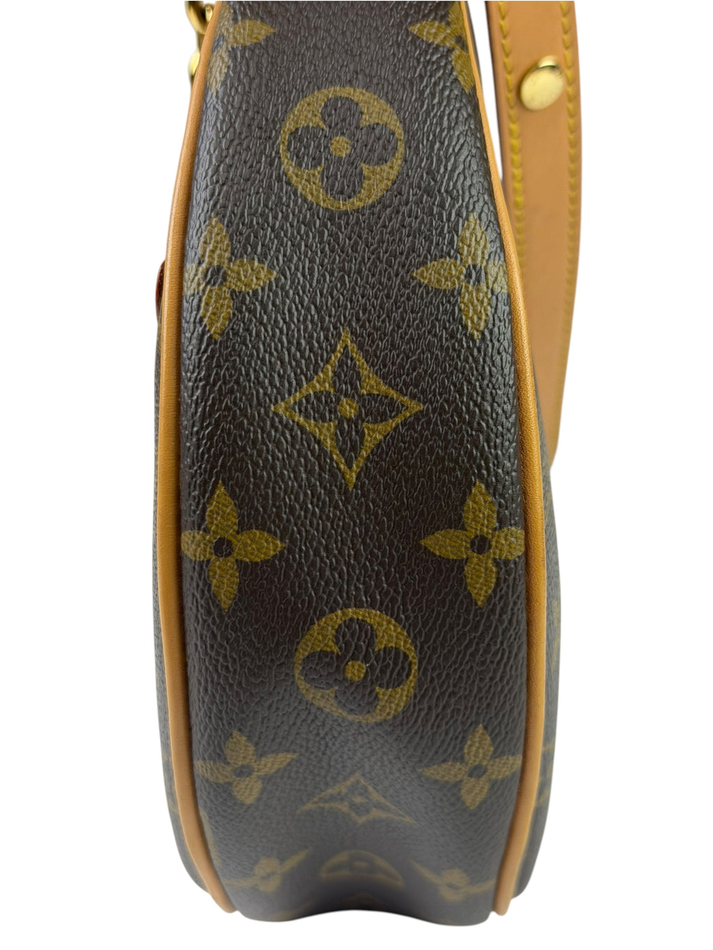 Louis Vuitton Monogram Loop Pochette