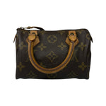 Louis Vuitton Monogram Nano Speedy Bag