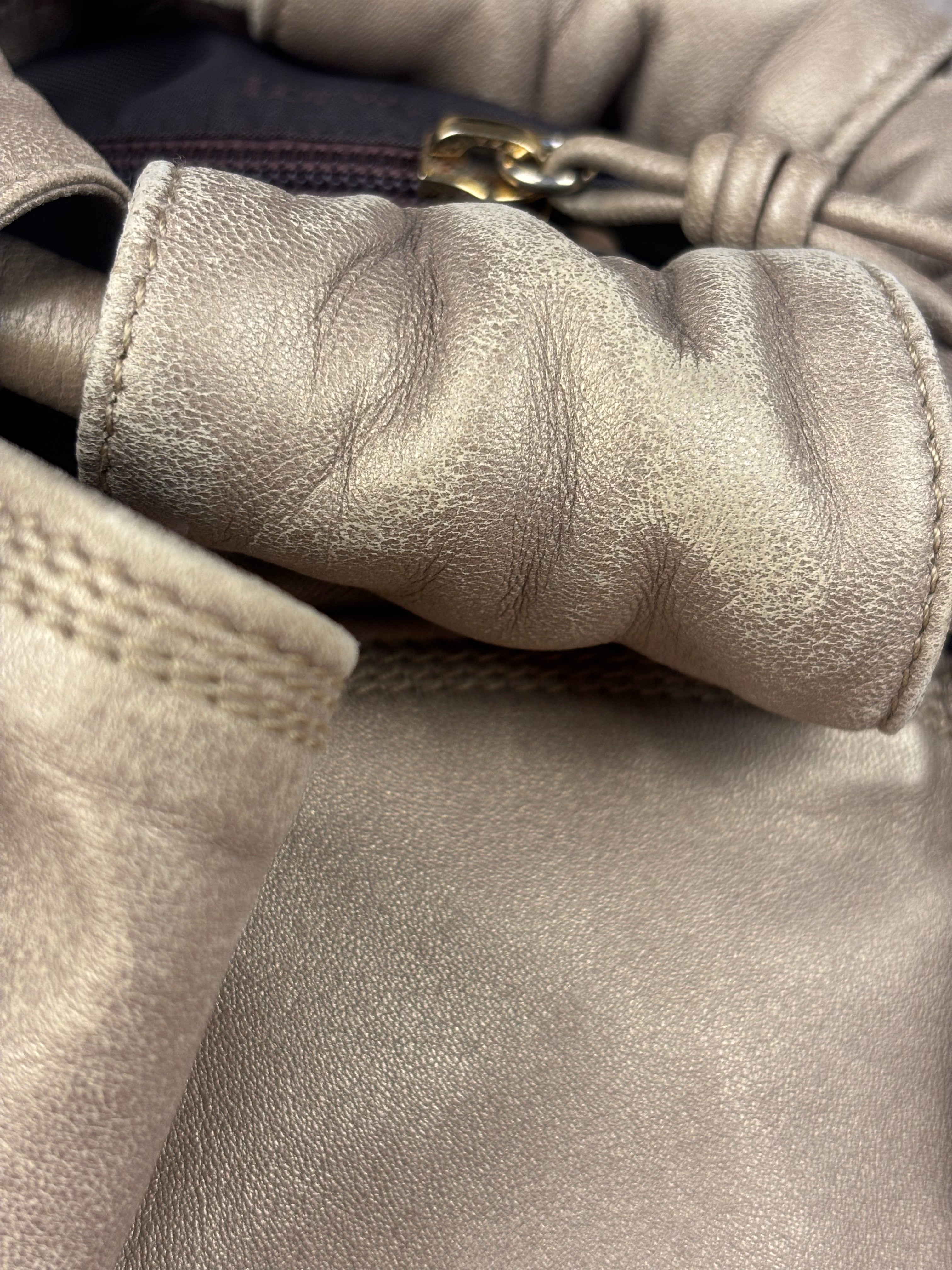 Loewe Metallic Leather Nappa Air Handbag