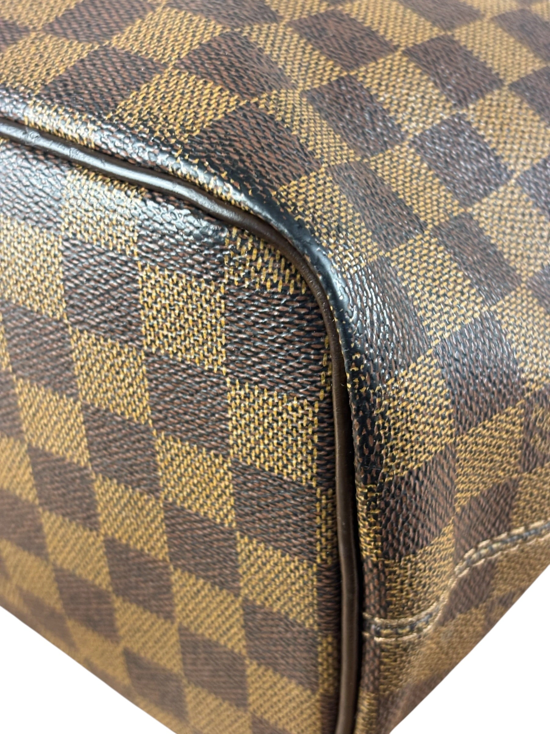 Louis Vuitton Damier Ebene Saleya Tote Bag