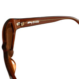 Stussy Brown Frame Sunglasses