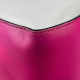 Loewe Pink/White Leather M Hammock Bag