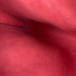 Louis Vuitton Red Epi Leather Pochette