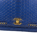 Chanel Braided Chic Python Flap Bag 2017