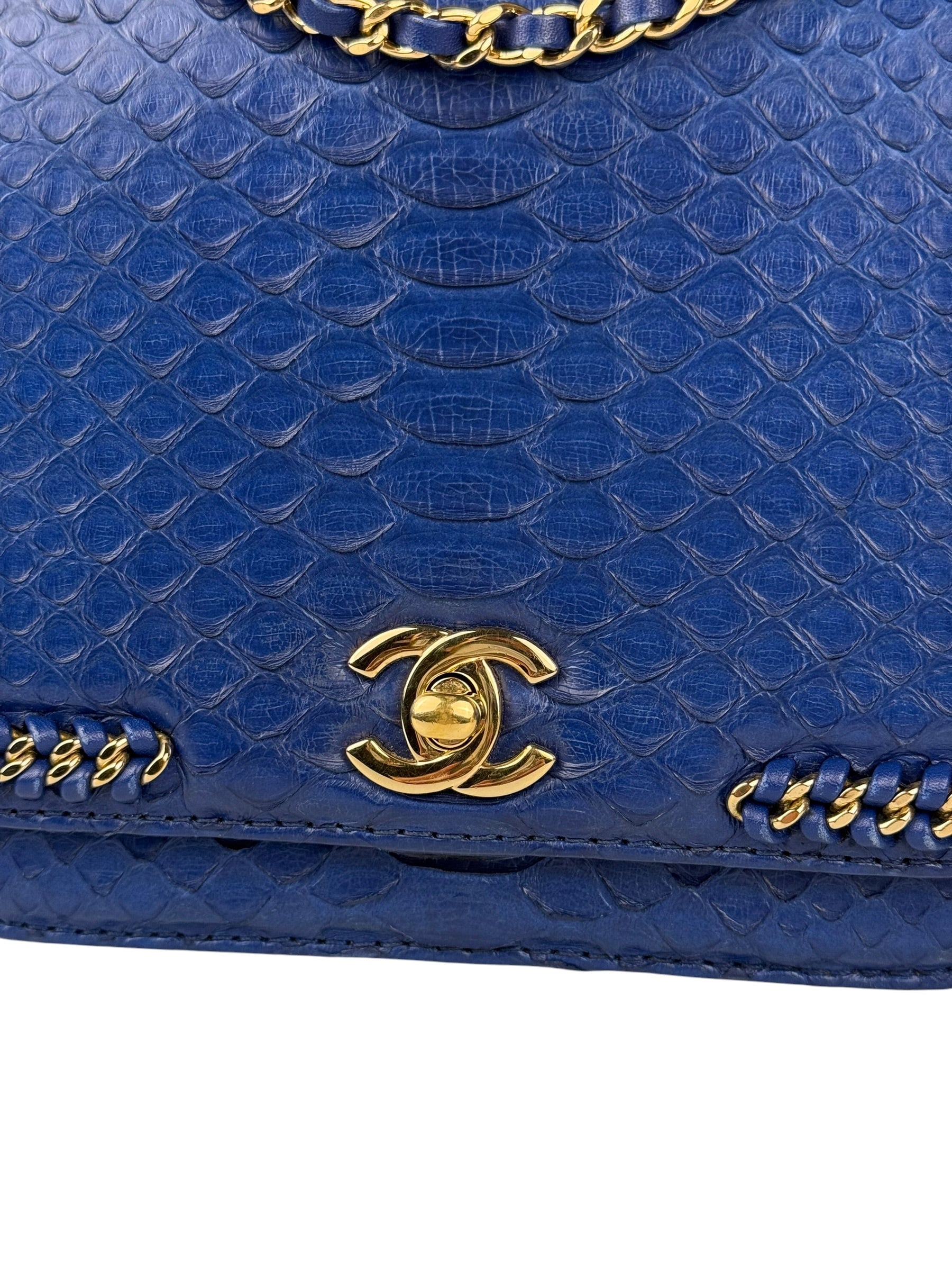 Chanel Braided Chic Python Flap Bag 2017