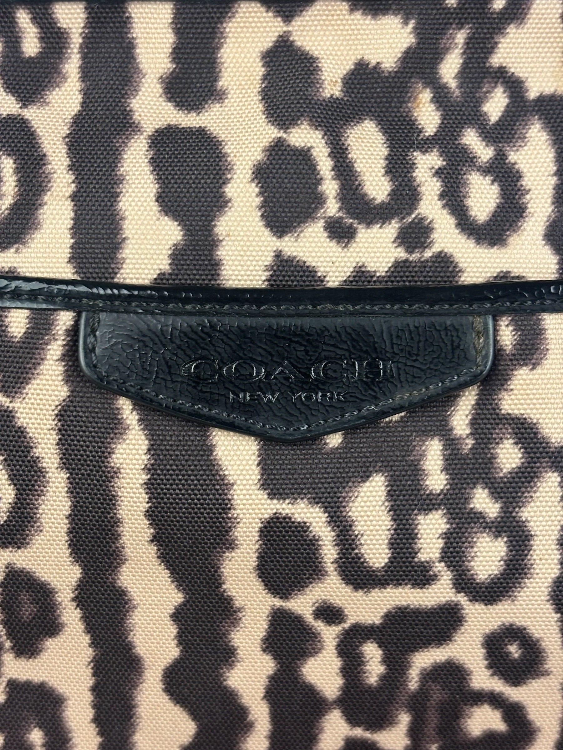 Coach Leopard Print Canvas Crossbody