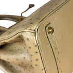 Hermes Birkin 35 Mousse Ostrich 2001