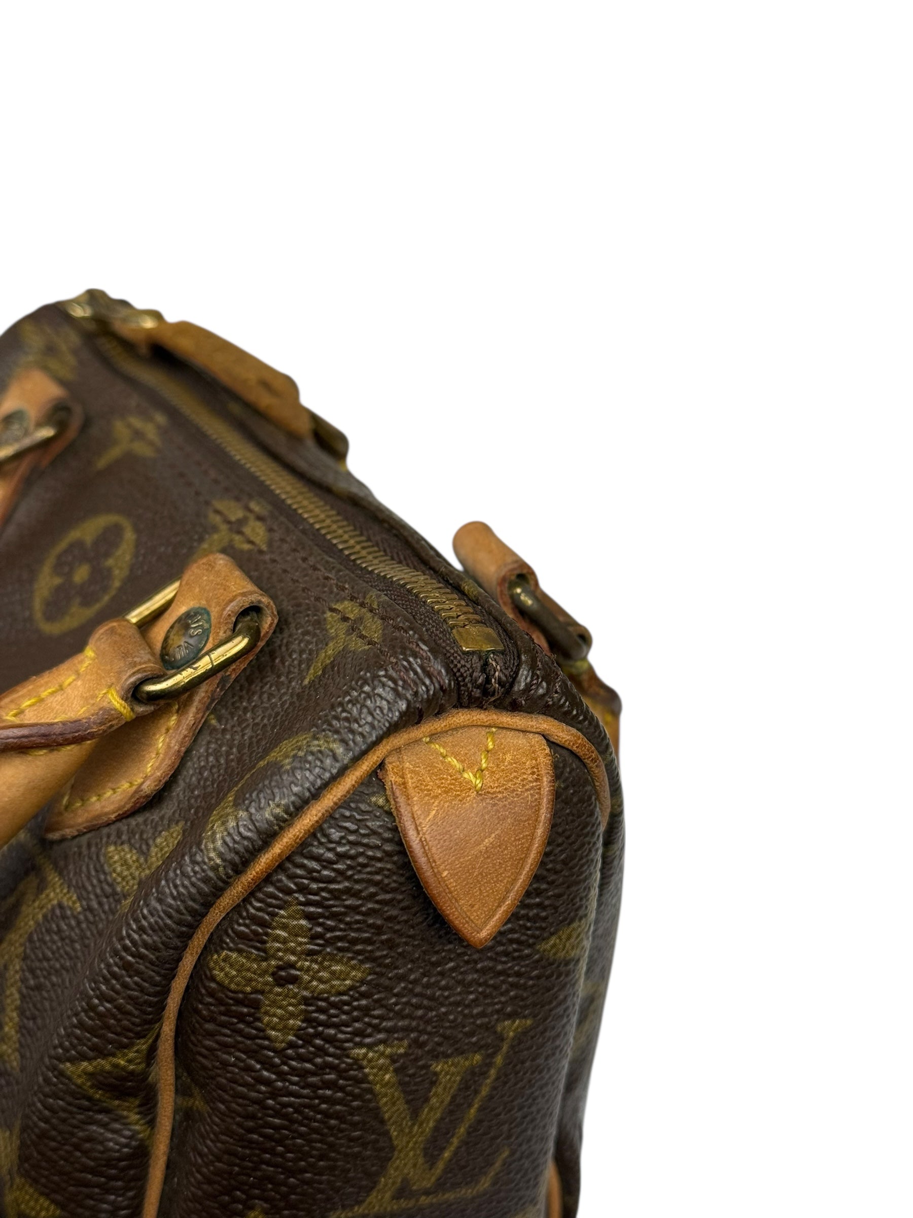 Louis Vuitton Monogram Nano Speedy Bag