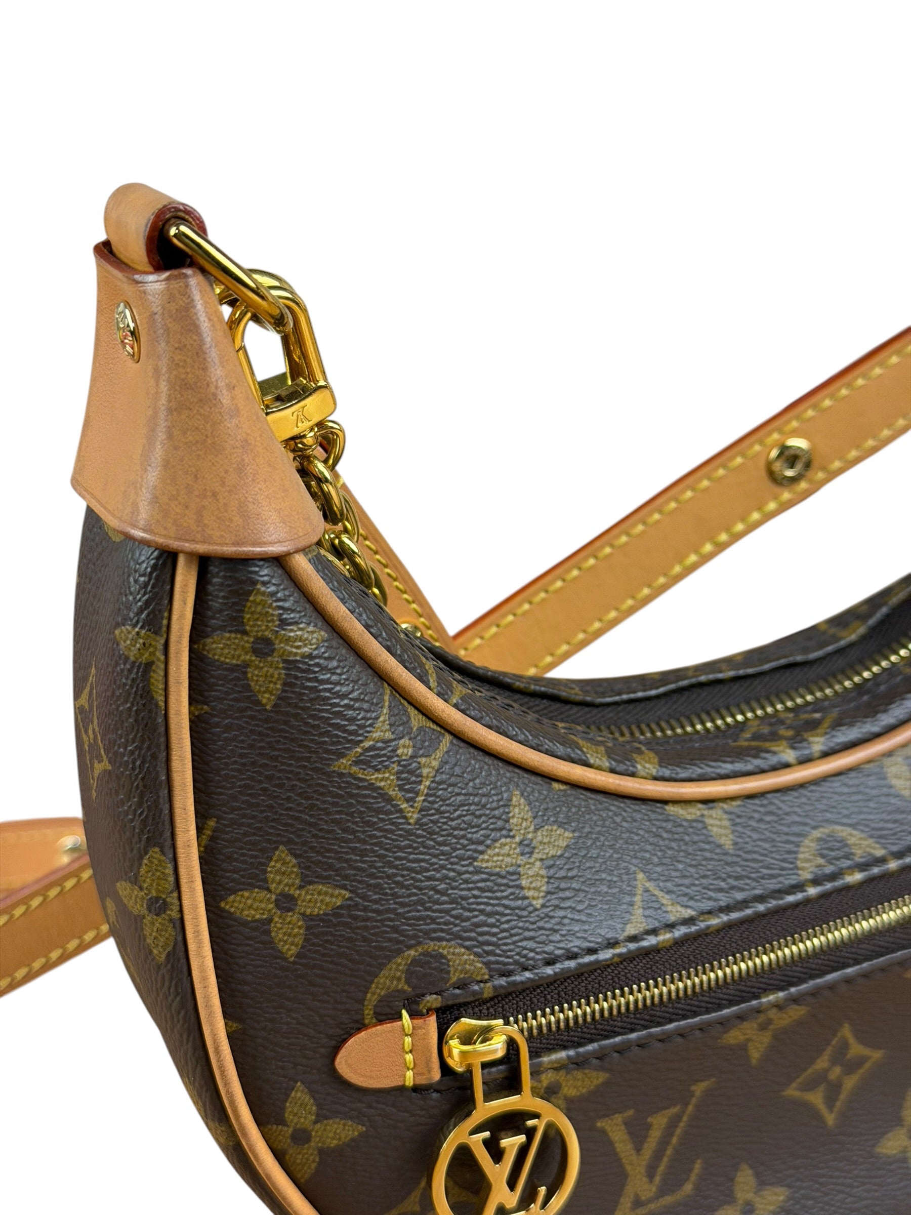 Louis Vuitton Monogram Loop Pochette