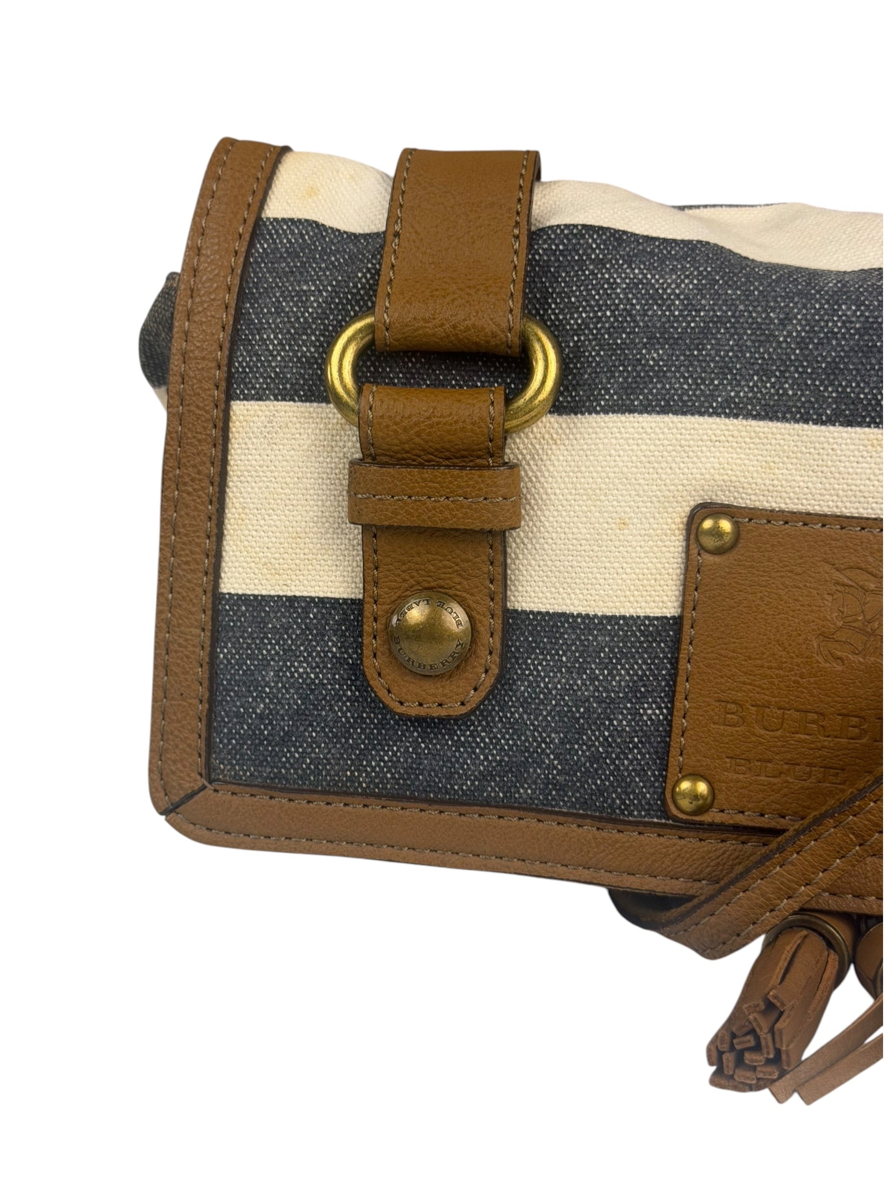 Burberrry Multicolor Leather Trim Striped Crossbody Bag