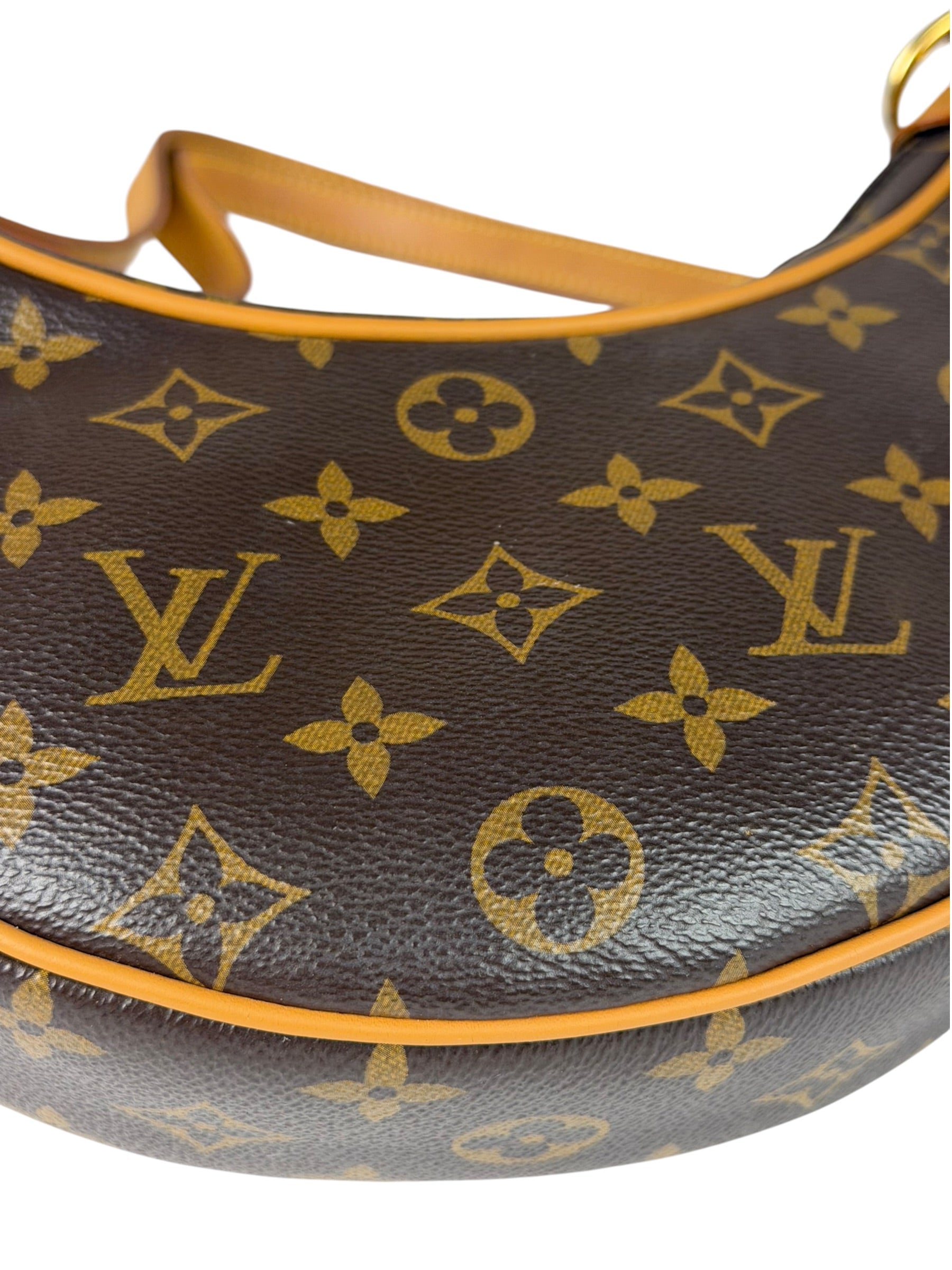 Louis Vuitton Monogram Loop Pochette